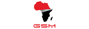 TD_gsm1.png